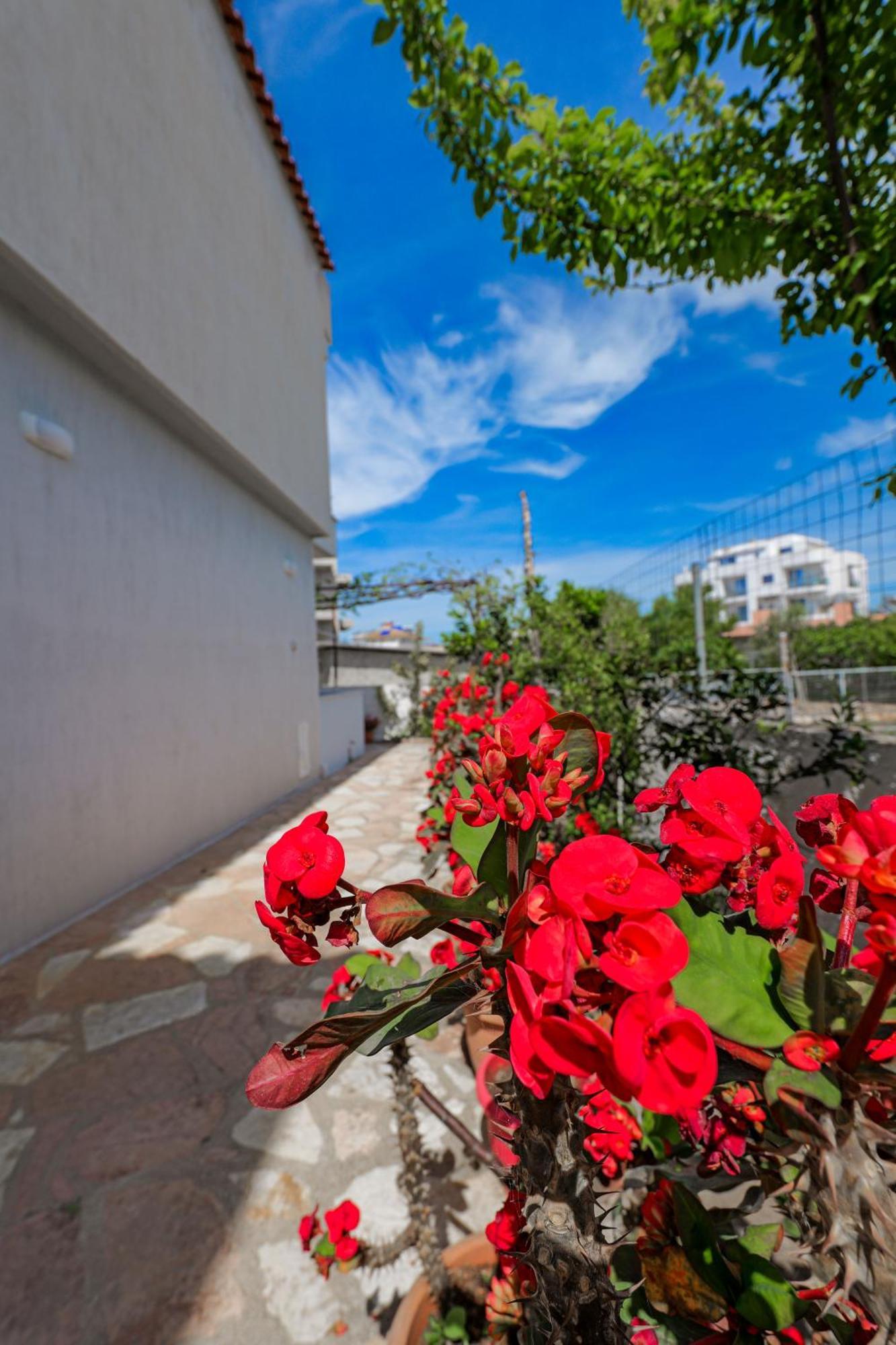 Guesthouse Moonlight Downtown كساميل المظهر الخارجي الصورة